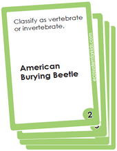 Flash cards to classify vertebrates and invertabrates pdf