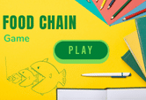 Food Chain quiz