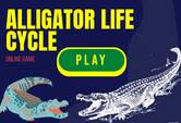 Alligator Life Cycle game