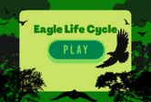 Eagle quiz