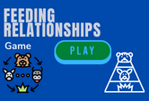 Feeding relationships