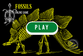 Fossils Game Quiz