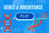 genes game
