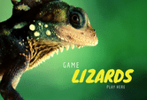 Lizards game