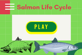 Salmon life Cycle game