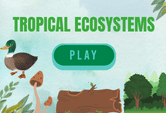 Tropical Ecosystems game