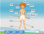 Human body parts labeling