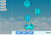 Mitosis diagram labeling activity online