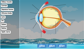 eye diagram labelling