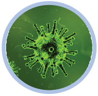 Science quiz on diseases online