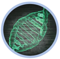 Quiz about heredity and genes