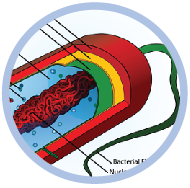 label and animal cell diagram quiz