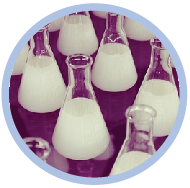 Quiz on some laboratory principles