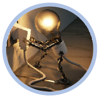 science quiz about life and related facts