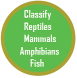Classification quiz, mammals, reptiles, fish, amphibian