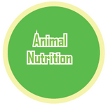 Animal nutrition quiz 