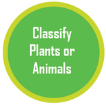 classification as plants or animals quiz for biology