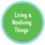 Classification either as living or nonliving things